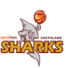 南部鲨鱼